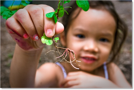 prek girl holding a plant